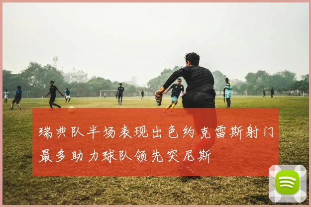 瑞典队半场表现出色约克雷斯射门最多助力球队领先突尼斯