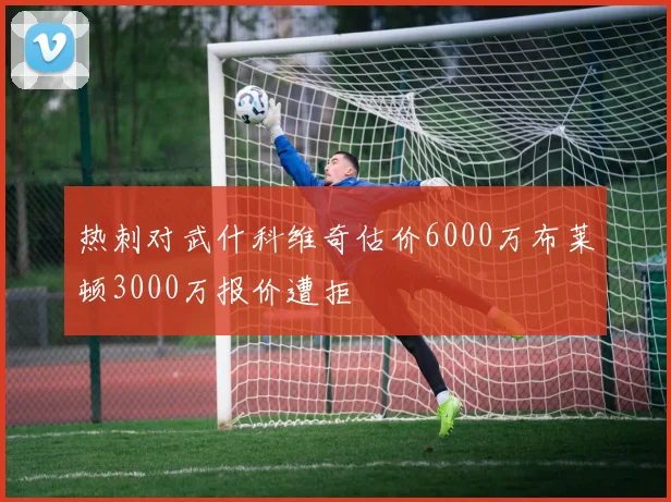 热刺对武什科维奇估价6000万布莱顿3000万报价遭拒