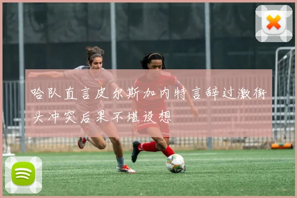 哈队直言皮尔斯加内特言辞过激街头冲突后果不堪设想